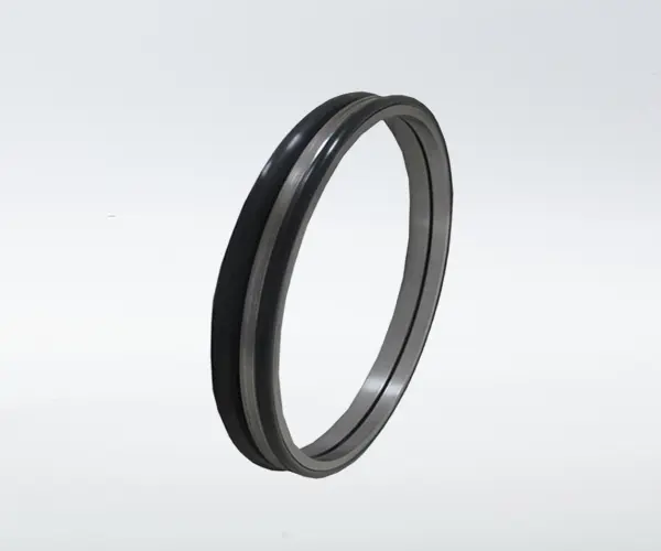 Asymmetric Type Mechanical Face Seal B